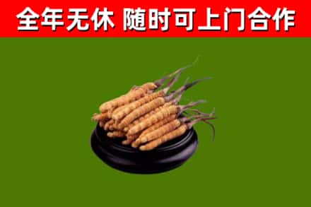 泾源县烟酒回收冬虫夏草.jpg